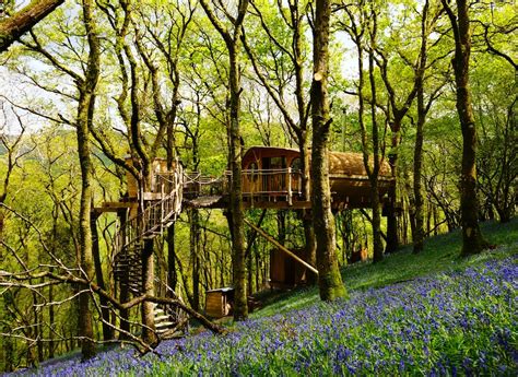 Immerse Yourself in the Magic of the Magical Woodland Retreat